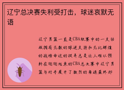 辽宁总决赛失利受打击，球迷哀默无语